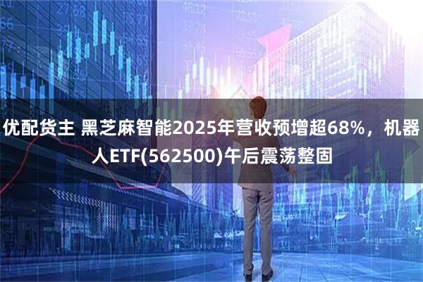 优配货主 黑芝麻智能2025年营收预增超68%，机器人ETF(562500)午后震荡整固