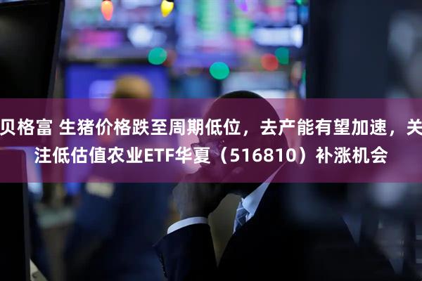 贝格富 生猪价格跌至周期低位，去产能有望加速，关注低估值农业ETF华夏（516810）补涨机会