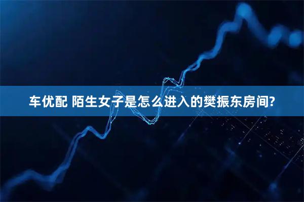 车优配 陌生女子是怎么进入的樊振东房间?