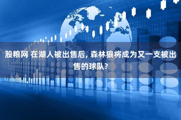 股粮网 在湖人被出售后, 森林狼将成为又一支被出售的球队?